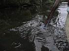 2001 08-06 - Sirena - Paddling 2 -  [023].jpg